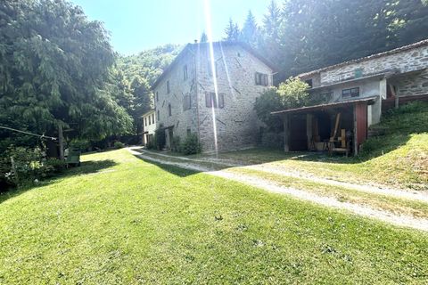 Landejendom i Barga, Lucca, Barga - € 650.000 | Ref: APS-1566 - foto 3
