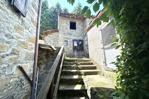 Landejendom i Barga, Lucca, Barga - € 650.000 | Ref: APS-1566 - foto 27