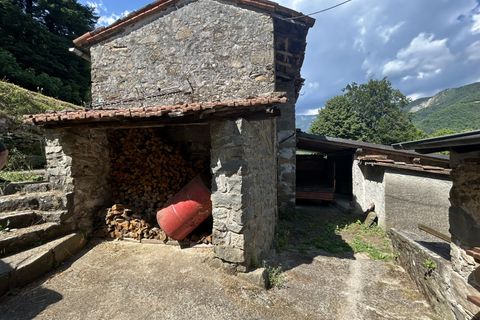 Landejendom i Barga, Lucca, Barga - € 650.000 | Ref: APS-1566 - foto 30