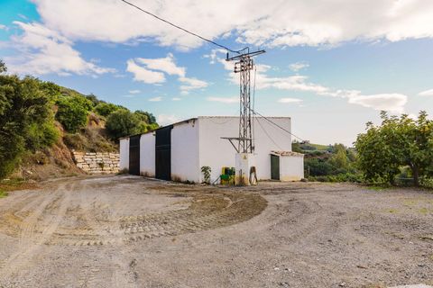 Landejendom i Mijas, Malaga, Mijas - € 3.995.000 | Ref: 0b49a02c-5b2e-4a43-a - foto 31
