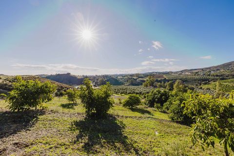 Landejendom i Mijas, Malaga, Mijas - € 3.995.000 | Ref: 0b49a02c-5b2e-4a43-a - foto 36