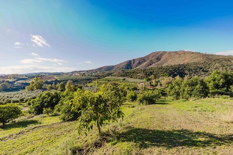 Landejendom i Mijas, Malaga, Mijas - € 3.995.000 | Ref: 0b49a02c-5b2e-4a43-a - foto 37
