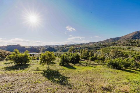 Landejendom i Mijas, Malaga, Mijas - € 3.995.000 | Ref: 0b49a02c-5b2e-4a43-a - foto 38