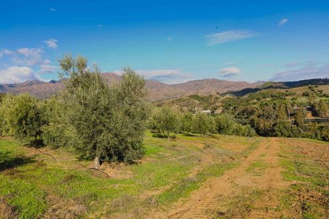 Landejendom i Mijas, Malaga, Mijas - € 3.995.000 | Ref: 0b49a02c-5b2e-4a43-a - foto 42