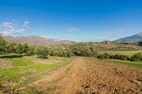 Landejendom i Mijas, Malaga, Mijas - € 3.995.000 | Ref: 0b49a02c-5b2e-4a43-a - foto 43