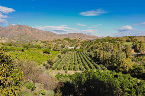 Landejendom i Mijas, Malaga, Mijas - € 3.995.000 | Ref: 0b49a02c-5b2e-4a43-a - foto 47