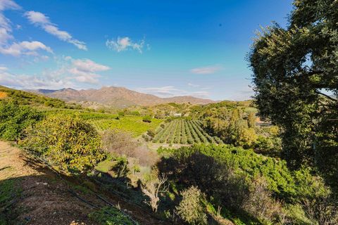 Landejendom i Mijas, Malaga, Mijas - € 3.995.000 | Ref: 0b49a02c-5b2e-4a43-a - foto 48