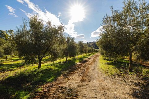 Landejendom i Mijas, Malaga, Mijas - € 3.995.000 | Ref: 0b49a02c-5b2e-4a43-a - foto 49