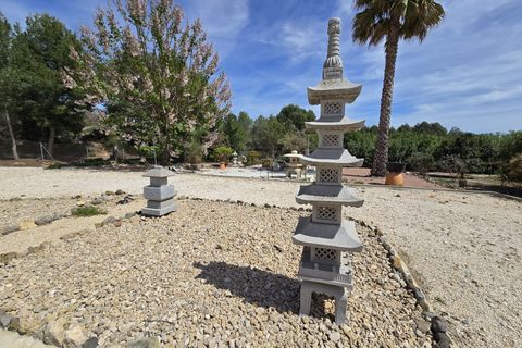 Villa a Sax, Alicante, Sax - € 499.999 | Ref: IVE13841 - foto 23