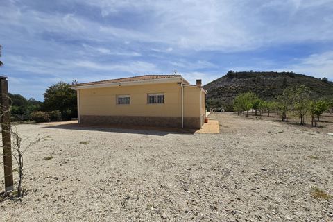 Villa a Sax, Alicante, Sax - € 499.999 | Ref: IVE13841 - foto 29