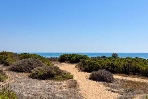 Leilighet i La Mata, Alicante, La Mata - € 214 000 | Ref: ALM-4454 - foto 33