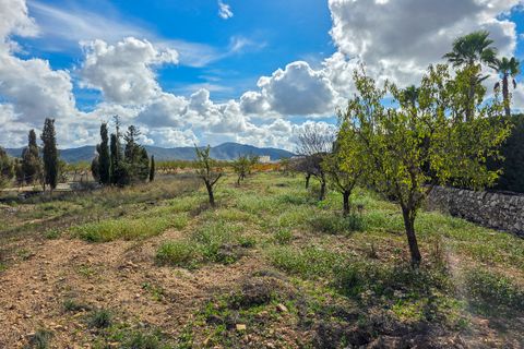 Landejendom i Abanilla, Murcia, Abanilla - € 32.000 | Ref: CF3262 - foto 2