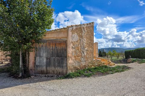 Landejendom i Abanilla, Murcia, Abanilla - € 32.000 | Ref: CF3262 - foto 3