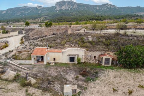 Cave house in La Romana, Alicante - photo 1