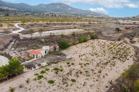 Cave house in La Romana, Alicante - photo 4