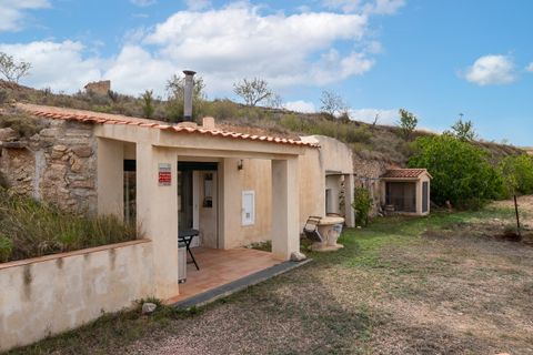 Cave house in La Romana, Alicante - photo 5