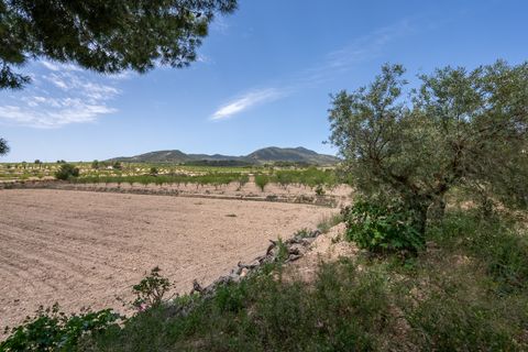 Cave house i Raspay, Murcia, Raspay - € 46.000 | Ref: CF3180 - foto 3
