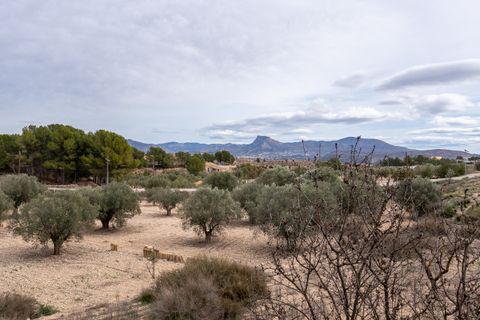 Landejendom i Monovar, Alicante, Monovar - € 180.000 | Ref: CF3144 - foto 7