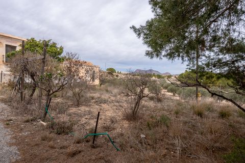 Landejendom i Monovar, Alicante, Monovar - € 180.000 | Ref: CF3144 - foto 35