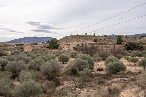 Landejendom i Monovar, Alicante, Monovar - € 180.000 | Ref: CF3144 - foto 46