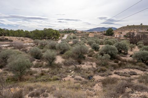 Landejendom i Monovar, Alicante, Monovar - € 180.000 | Ref: CF3144 - foto 47