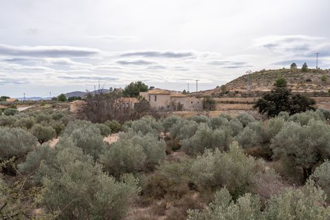 Landejendom i Monovar, Alicante, Monovar - € 180.000 | Ref: CF3144 - foto 48