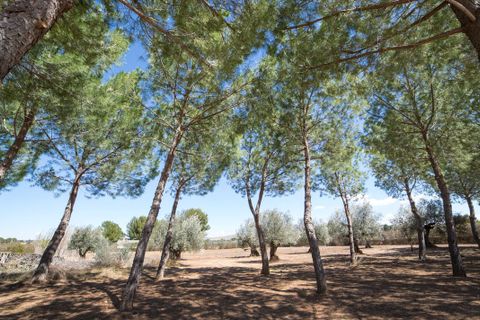Villa i Yecla, Murcia, Yecla - € 675.000 | Ref: CF3120 - foto 14