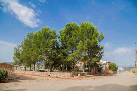 Landejendom i Yecla, Murcia, Yecla - € 175.000 | Ref: CF2870 - foto 39