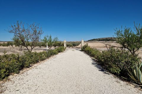 Villa i Jumilla, Murcia, Jumilla - € 400.000 | Ref: CF3087 - foto 50