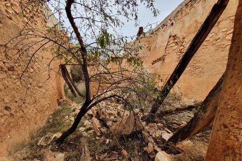 Landejendom i Yecla, Murcia, Yecla - € 55.000 | Ref: CF2463 - foto 22