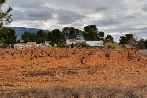 Landejendom i Yecla, Murcia, Yecla - € 55.000 | Ref: CF2463 - foto 23