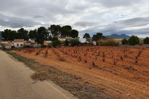Landejendom i Yecla, Murcia, Yecla - € 55.000 | Ref: CF2463 - foto 24