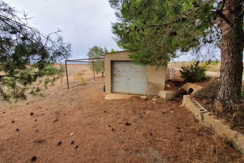Landejendom i Yecla, Murcia, Yecla - € 55.000 | Ref: CF2463 - foto 25