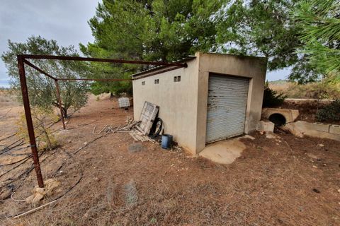 Landejendom i Yecla, Murcia, Yecla - € 55.000 | Ref: CF2463 - foto 26
