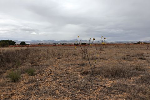 Landejendom i Yecla, Murcia, Yecla - € 55.000 | Ref: CF2463 - foto 28