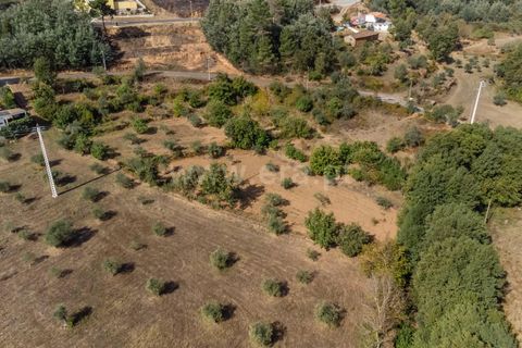 Terra a Fundao, Castelo Branco, Fundao - € 40.000 | Ref: 255250210 - foto 2