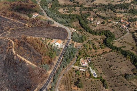 Terra a Fundao, Castelo Branco, Fundao - € 40.000 | Ref: 255250210 - foto 4