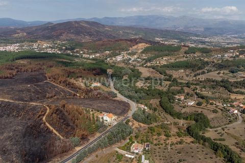 Terra a Fundao, Castelo Branco, Fundao - € 40.000 | Ref: 255250210 - foto 5