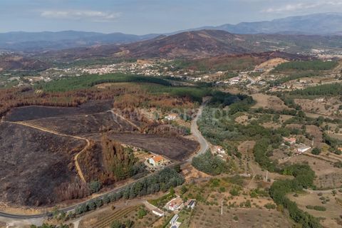 Terra a Fundao, Castelo Branco, Fundao - € 40.000 | Ref: 255250210 - foto 6