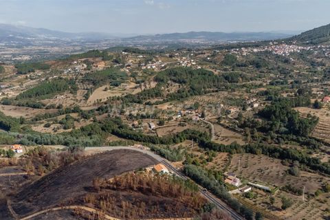 Terra a Fundao, Castelo Branco, Fundao - € 40.000 | Ref: 255250210 - foto 7