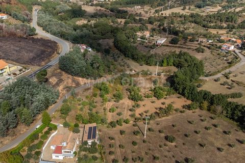 Terra a Fundao, Castelo Branco, Fundao - € 40.000 | Ref: 255250210 - foto 8