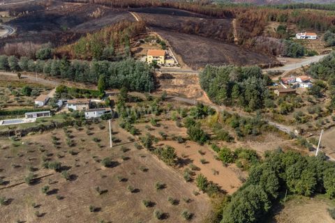 Terra a Fundao, Castelo Branco, Fundao - € 40.000 | Ref: 255250210 - foto 9