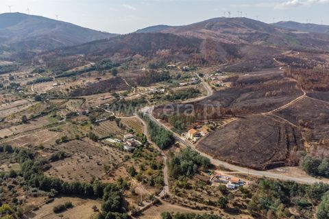 Terra a Fundao, Castelo Branco, Fundao - € 40.000 | Ref: 255250210 - foto 10