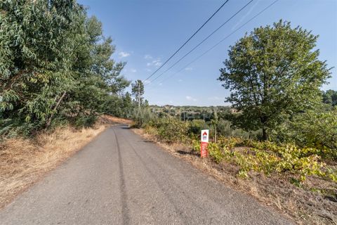 Terra a Fundao, Castelo Branco, Fundao - € 40.000 | Ref: 255250210 - foto 11