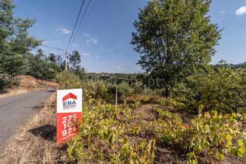 Terra a Fundao, Castelo Branco, Fundao - € 40.000 | Ref: 255250210 - foto 12