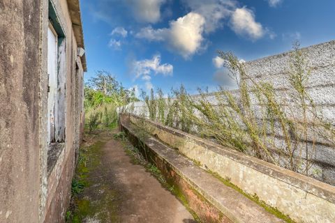 Byhus i Porto Moniz, Madeira, Porto Moniz - € 155.000 | Ref: 00572-MN - foto 20