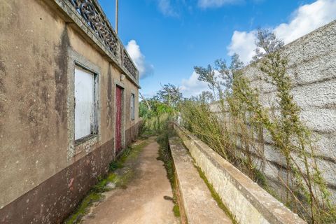 Byhus i Porto Moniz, Madeira, Porto Moniz - € 155.000 | Ref: 00572-MN - foto 28