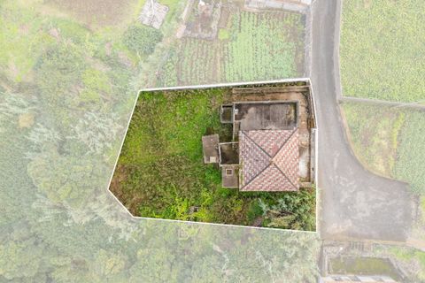Byhus i Porto Moniz, Madeira, Porto Moniz - € 155.000 | Ref: 00572-MN - foto 30