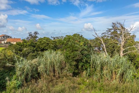Byhus i Porto Moniz, Madeira, Porto Moniz - € 155.000 | Ref: 00572-MN - foto 44