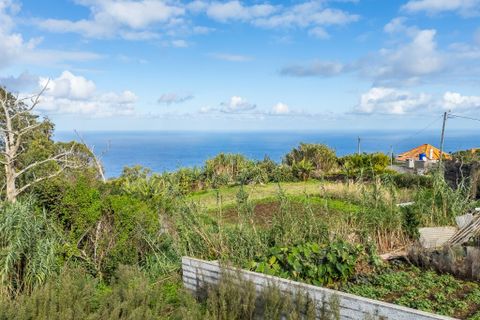 Byhus i Porto Moniz, Madeira, Porto Moniz - € 155.000 | Ref: 00572-MN - foto 45